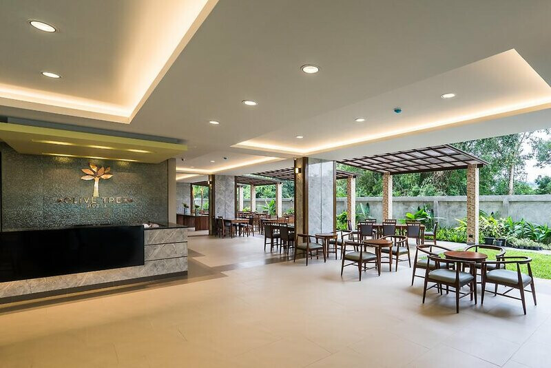 Olive Tree Hotel 6