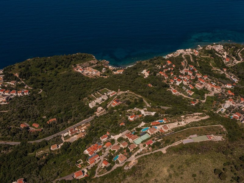 Olive Resort 7