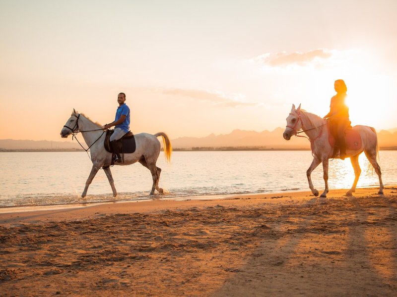 Kempinski Soma Bay 26