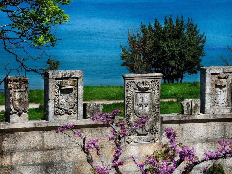 Pazo Los Escudos 8