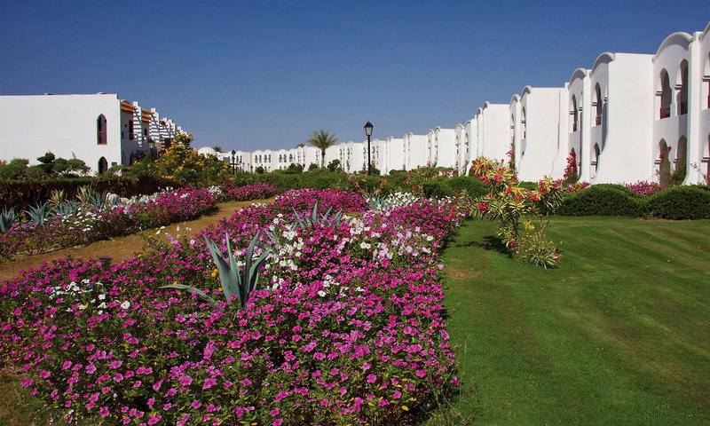 Gorgonia Beach Resort 6