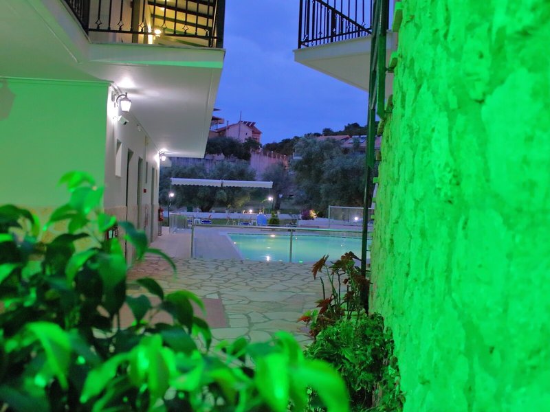 Vergina Star 13