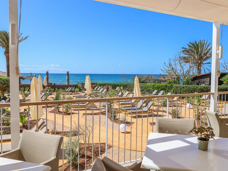 Seth Santo Tomás 19