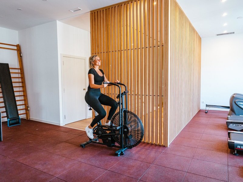 Seth Santo Tomás 29