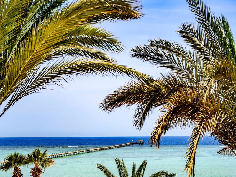 Blue Reef Sea Resort 7