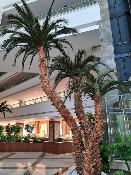 Saphir Resort & Spa 13