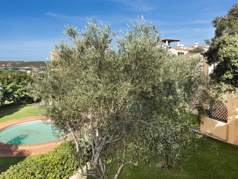 Il Giardino degli Oleandri 21