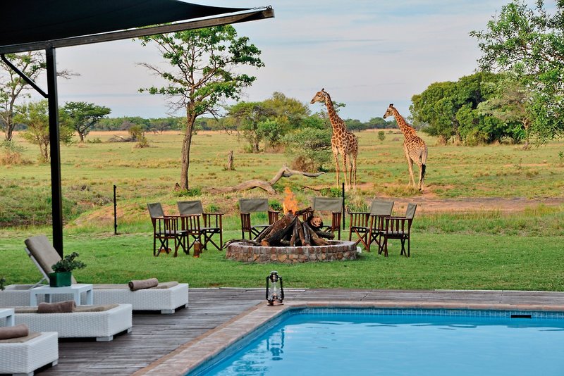 Safari Plains 9