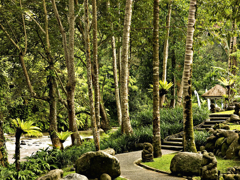 The Royal Pita Maha 6 - Garden