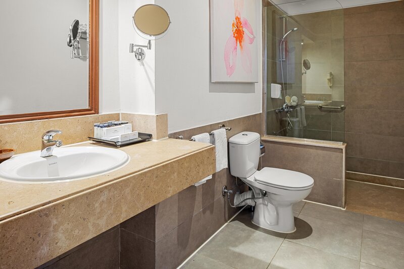 Pickalbatros Citadel Resort 110