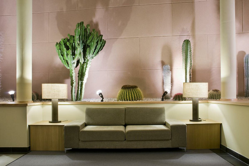 Hotel Playa Calera 8