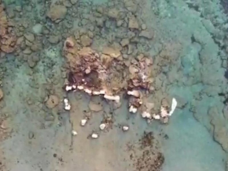 Tsambikos Apartments 8