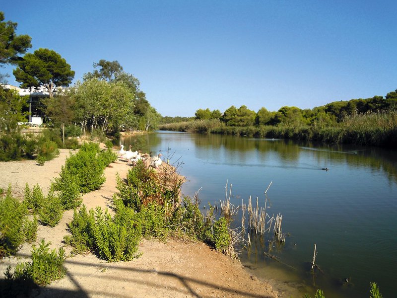 Universal Hotel Castell Royal 9
