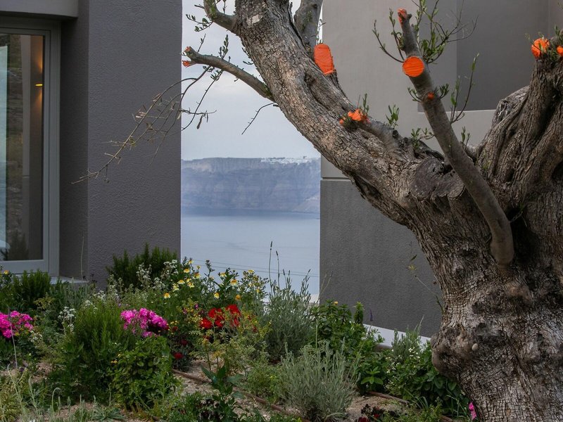 Melidonia Suites 4 - Landscape