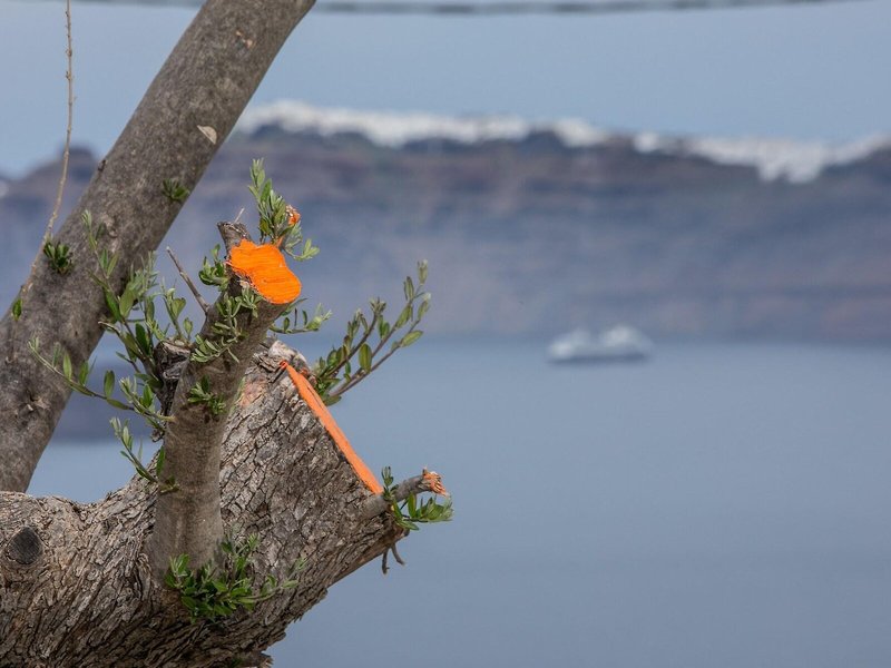 Melidonia Suites 5 - Landscape