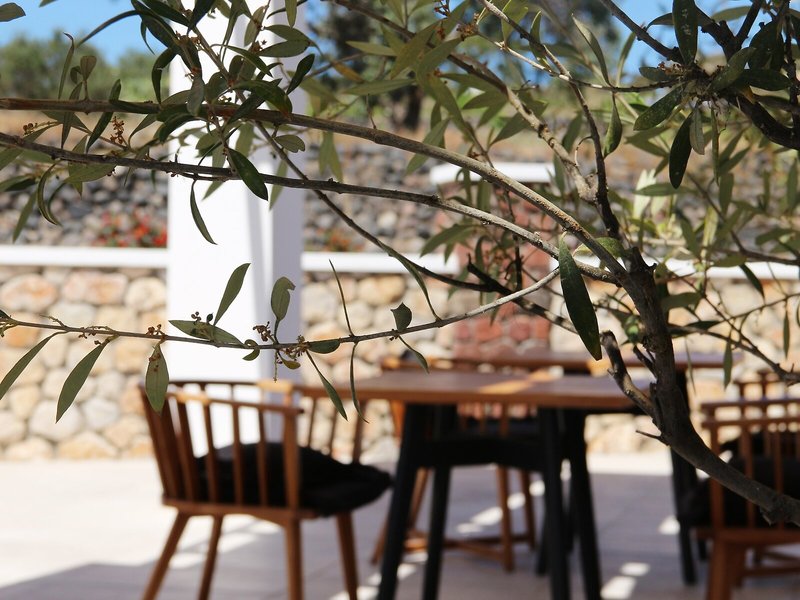 Astro Palace Hotel & Suites 28