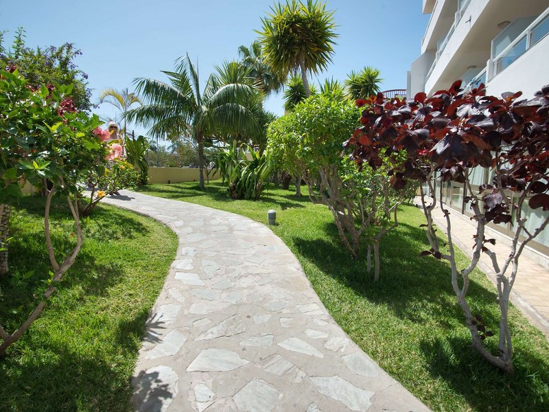 Catalonia Oro Negro 2