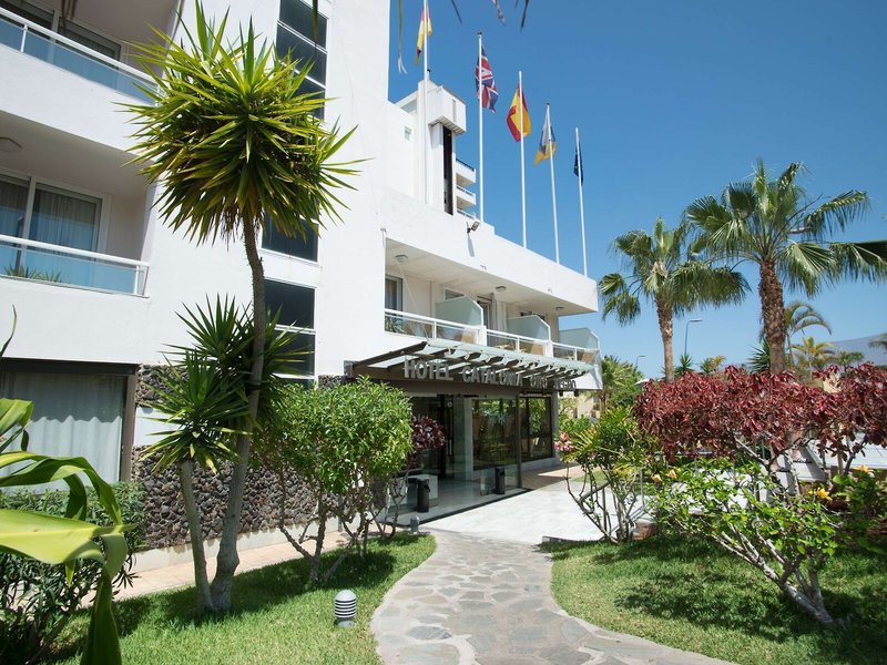 Catalonia Oro Negro 4