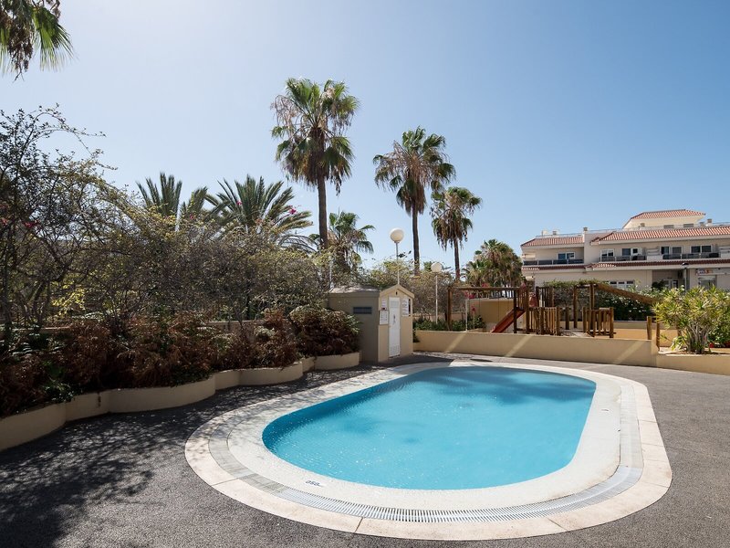 Catalonia Oro Negro 13