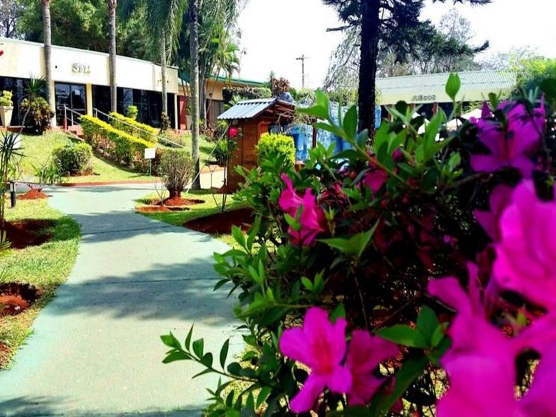 Exe Hotel Cataratas 4