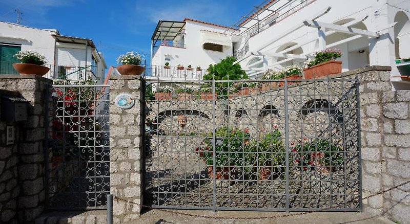 La Ninfa Di Capri