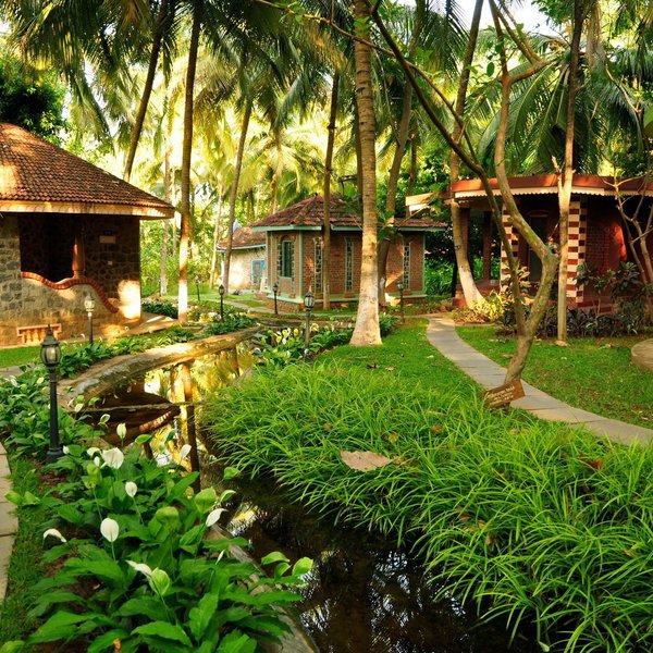 Kairali Ayurvedic Health Resort 4