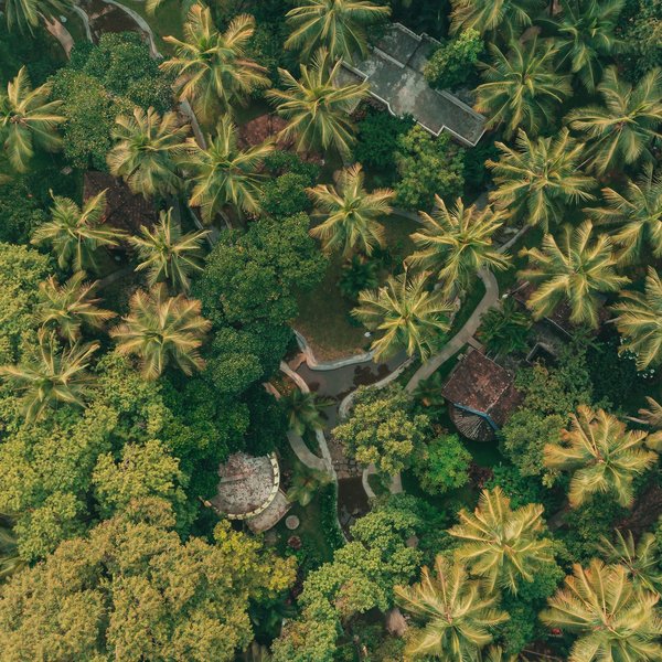 Kairali Ayurvedic Health Resort 6