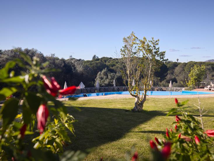 Longevity Cegonha Country Club 8 - Garden