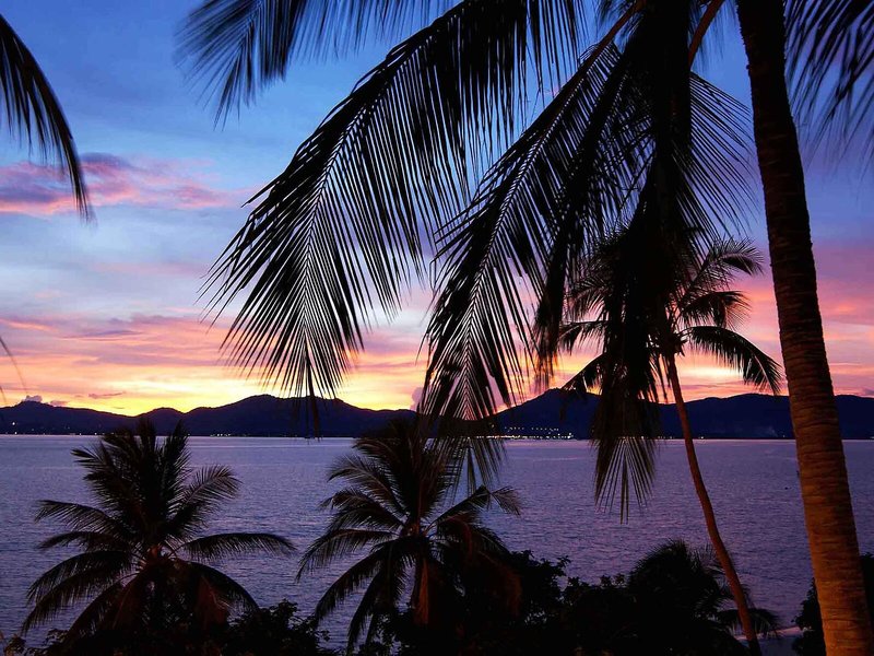 ibis Phuket Patong 8