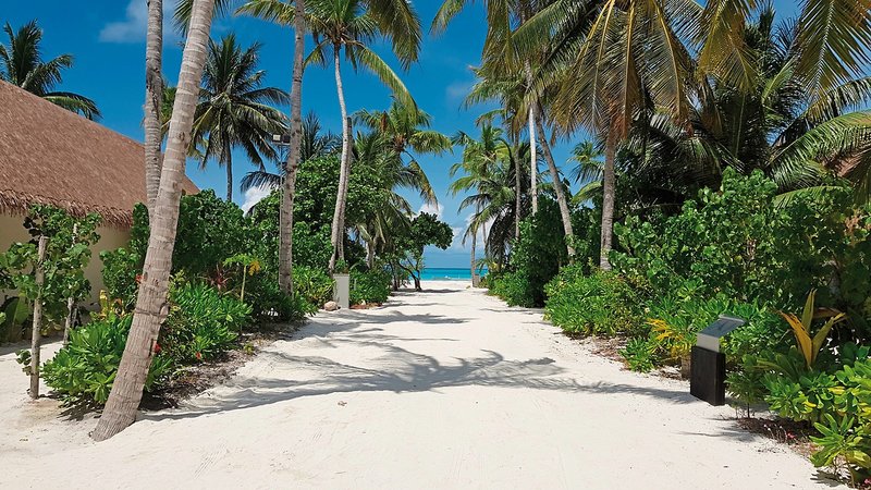 Cinnamon Velifushi Maldives 24