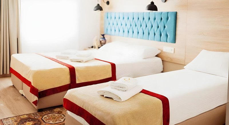 The Laila Hotel 4