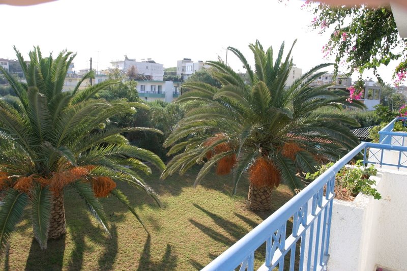 Gorgona Hotel 13