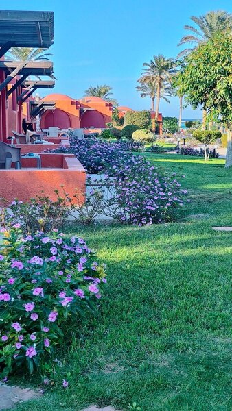 Swisstouches Resort & Spa Marsa Alam 76