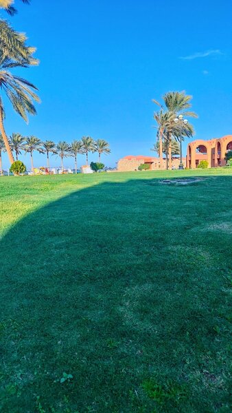 Swisstouches Resort & Spa Marsa Alam 57