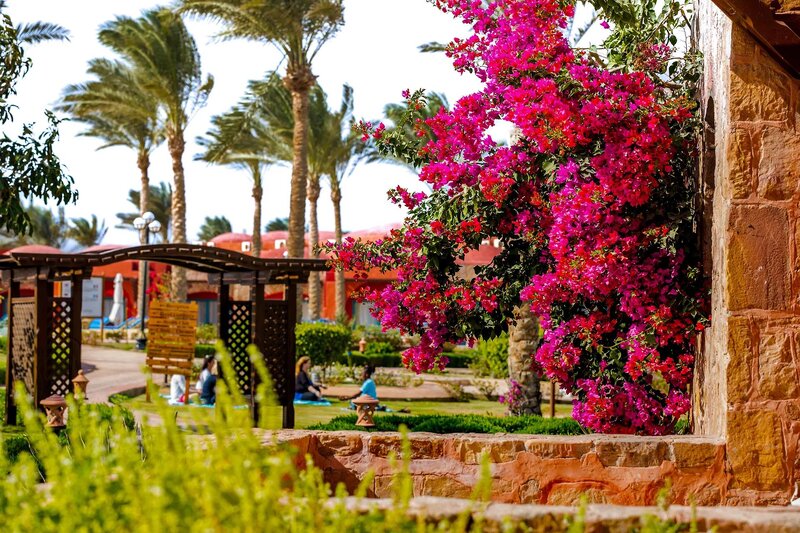 Swisstouches Resort & Spa Marsa Alam 60