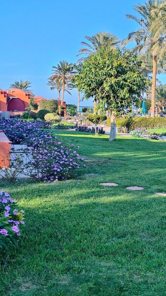 Swisstouches Resort & Spa Marsa Alam 53