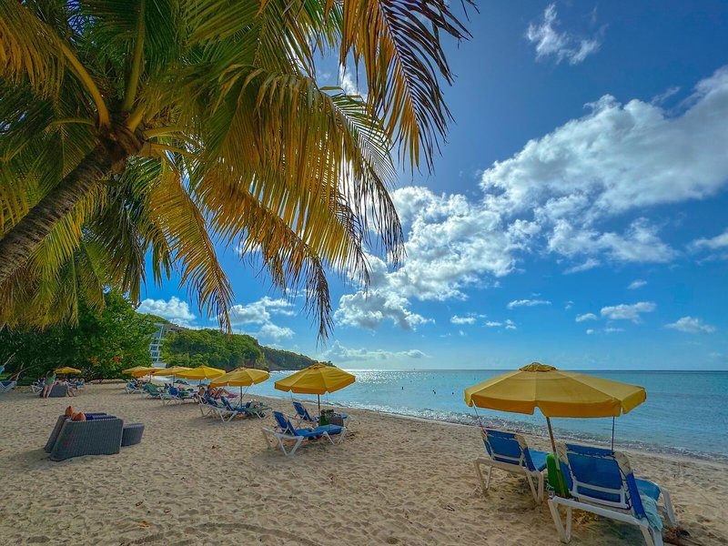 Mount Cinnamon Beach & Wellness Resort 12