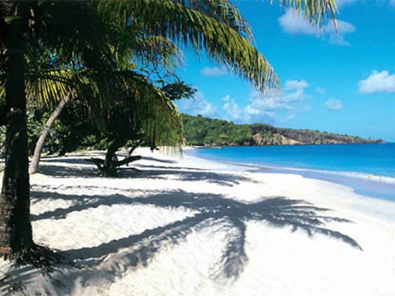 Mount Cinnamon Beach & Wellness Resort 14