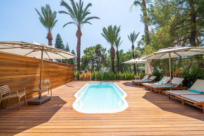 The Norm Oriental 47