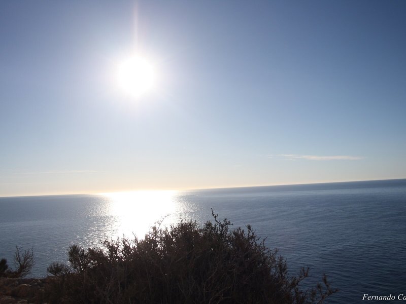 Sun Palace Albir 6