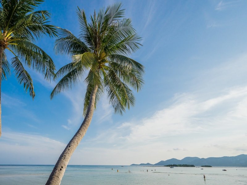 Chaba Cabana Beach Resort 9