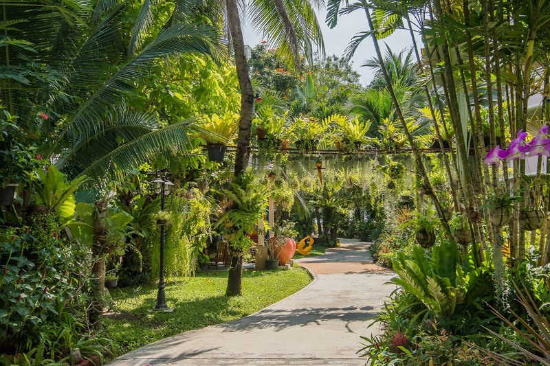 Chaba Samui Resort 6