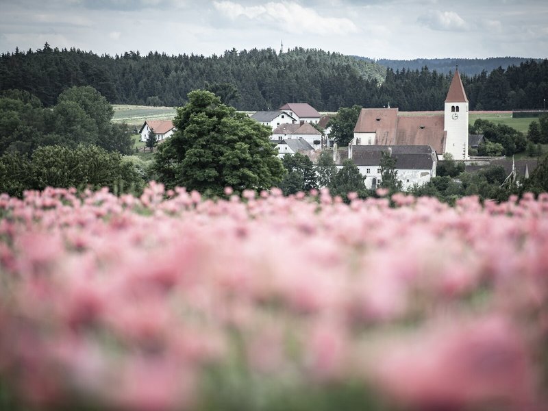 Faulenzerhotel 1