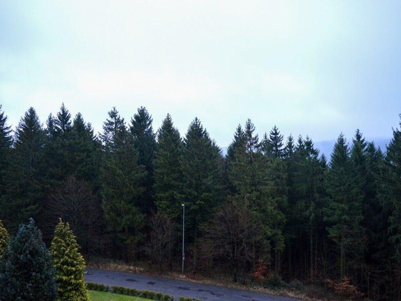 CAREA Residenz Hotel Harzhöhe 4