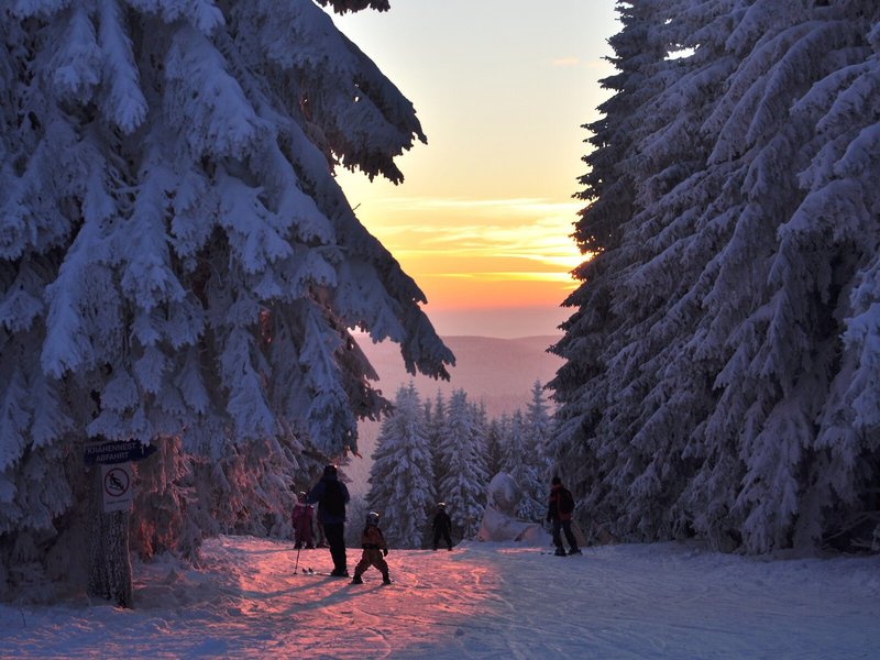 CAREA Residenz Hotel Harzhöhe 5