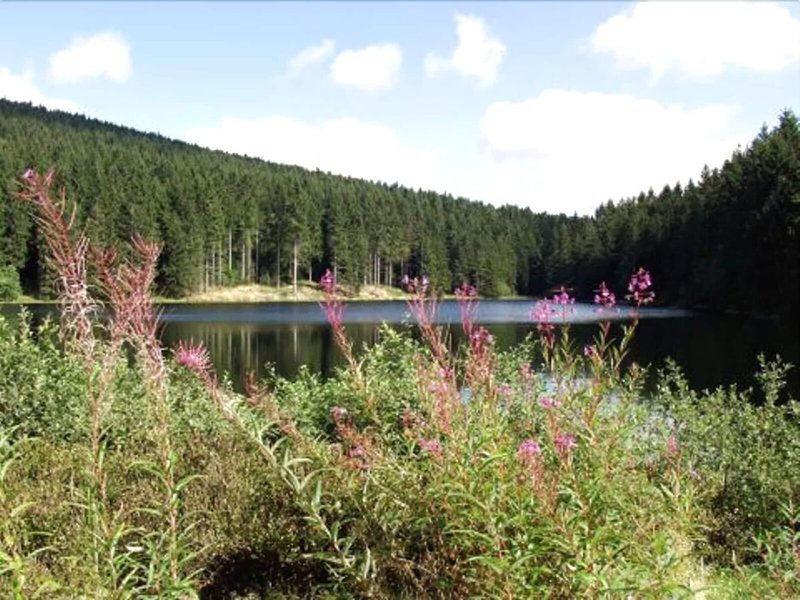 CAREA Residenz Hotel Harzhöhe 6