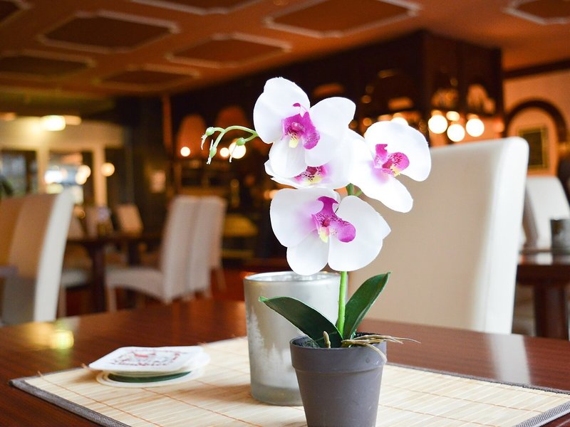 CAREA Residenz Hotel Harzhöhe 18