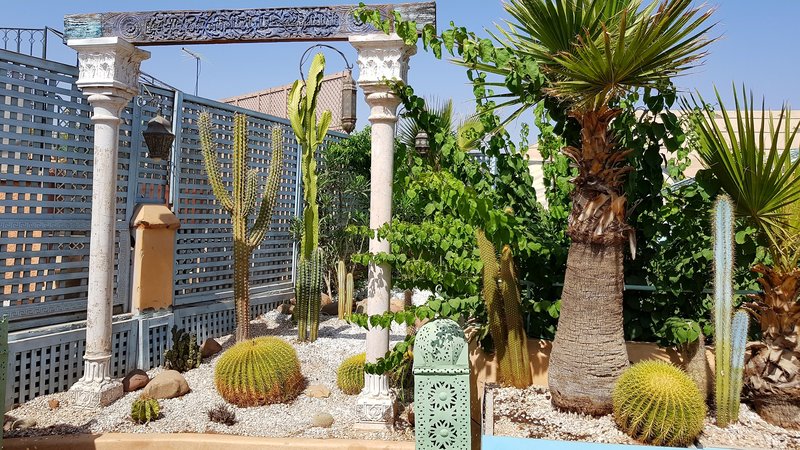 Riad Armelle 6