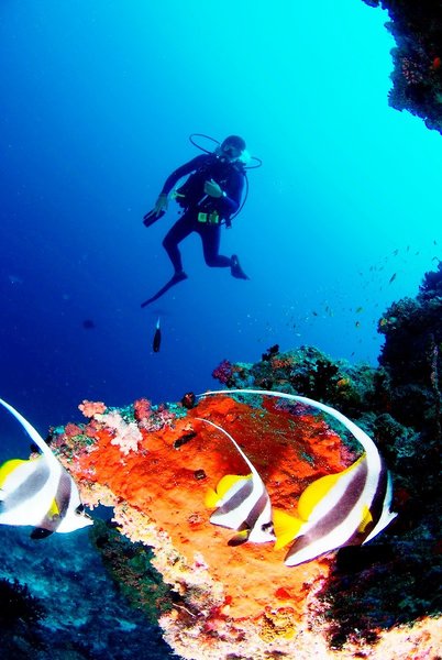 Naladhu Private Island Maldives 39