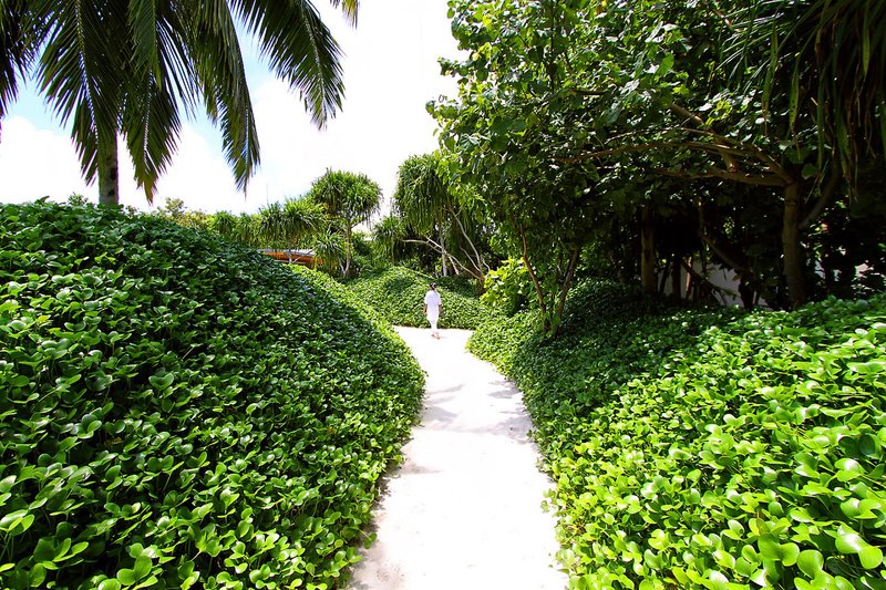 Park Hyatt Maldives Hadahaa 35